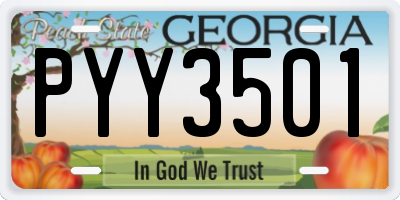 GA license plate PYY3501