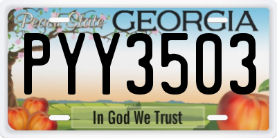 GA license plate PYY3503
