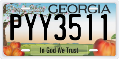 GA license plate PYY3511