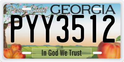 GA license plate PYY3512