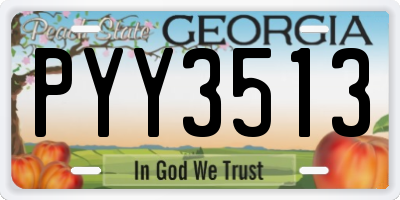 GA license plate PYY3513