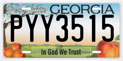 GA license plate PYY3515