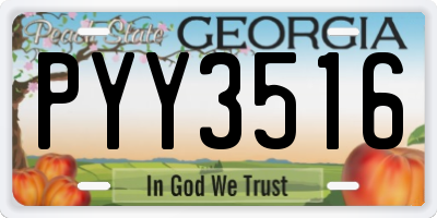 GA license plate PYY3516