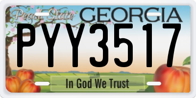 GA license plate PYY3517