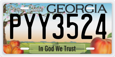GA license plate PYY3524