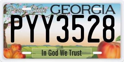 GA license plate PYY3528