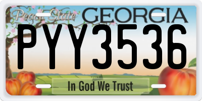 GA license plate PYY3536