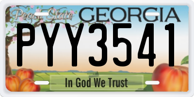 GA license plate PYY3541
