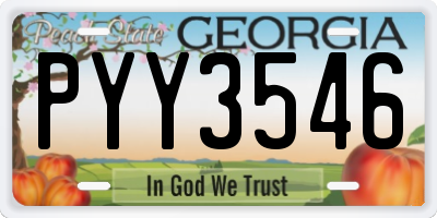 GA license plate PYY3546