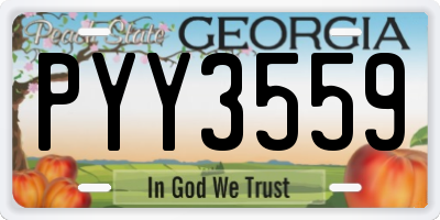 GA license plate PYY3559