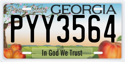 GA license plate PYY3564