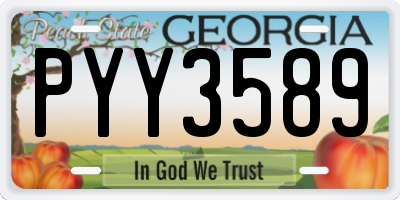 GA license plate PYY3589