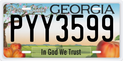 GA license plate PYY3599