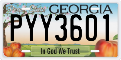 GA license plate PYY3601