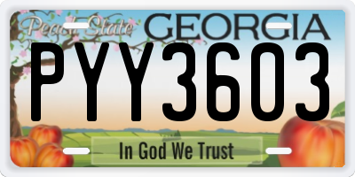 GA license plate PYY3603