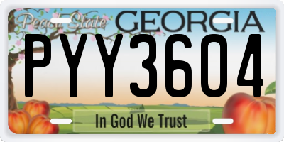 GA license plate PYY3604