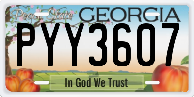 GA license plate PYY3607