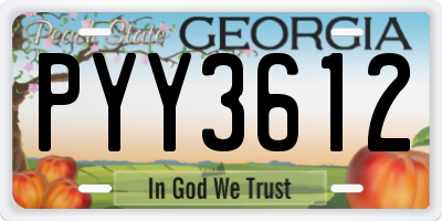 GA license plate PYY3612
