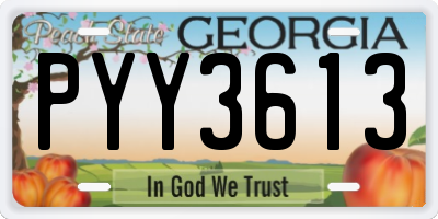 GA license plate PYY3613
