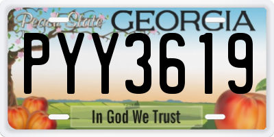 GA license plate PYY3619