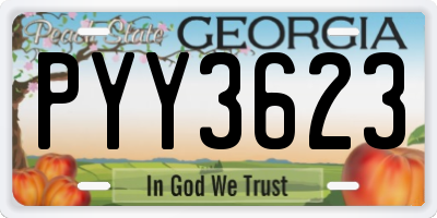 GA license plate PYY3623