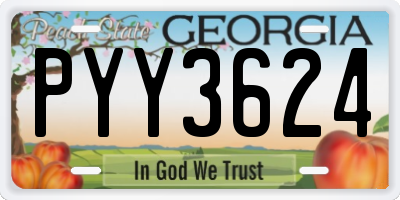 GA license plate PYY3624
