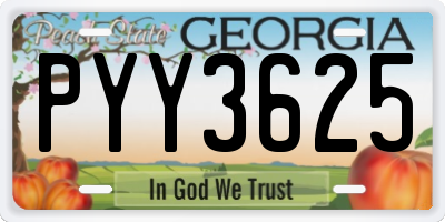 GA license plate PYY3625