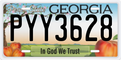GA license plate PYY3628