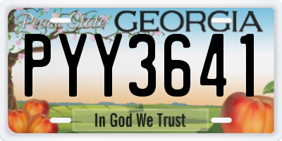 GA license plate PYY3641