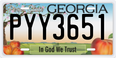 GA license plate PYY3651