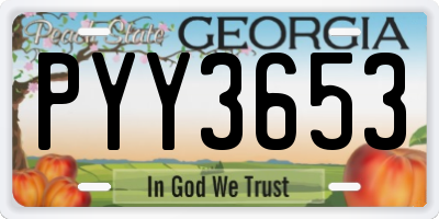 GA license plate PYY3653