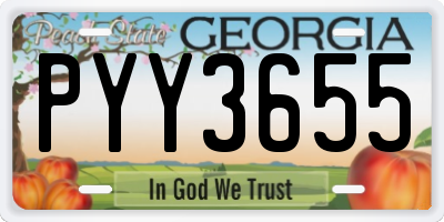 GA license plate PYY3655