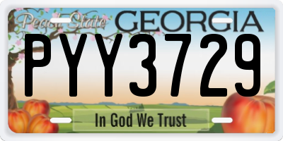 GA license plate PYY3729