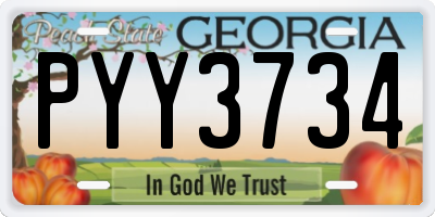 GA license plate PYY3734