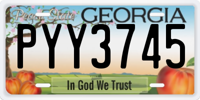 GA license plate PYY3745