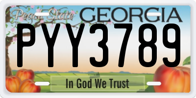 GA license plate PYY3789