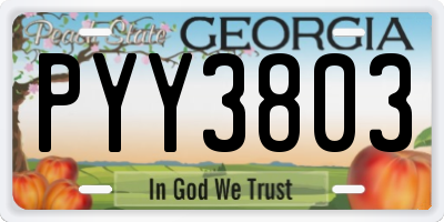 GA license plate PYY3803