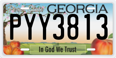 GA license plate PYY3813