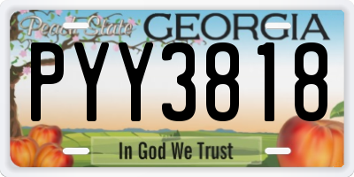 GA license plate PYY3818