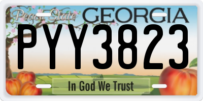 GA license plate PYY3823