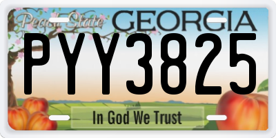 GA license plate PYY3825