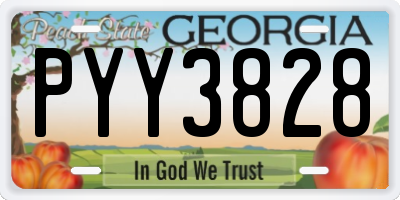 GA license plate PYY3828