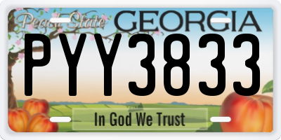 GA license plate PYY3833