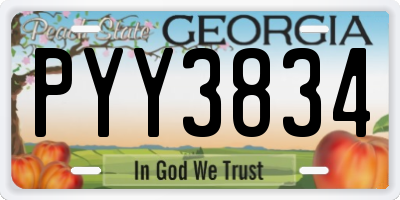 GA license plate PYY3834