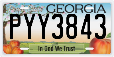 GA license plate PYY3843