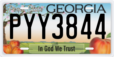 GA license plate PYY3844