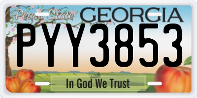 GA license plate PYY3853