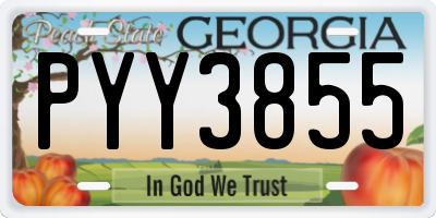 GA license plate PYY3855
