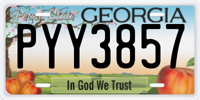 GA license plate PYY3857
