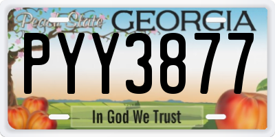 GA license plate PYY3877